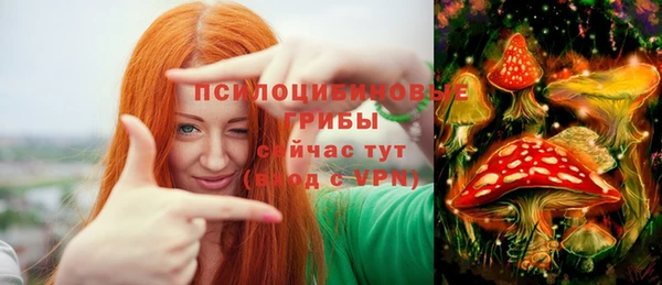 2c-b Алексин
