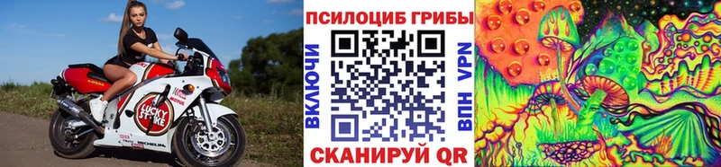 Галлюциногенные грибы Psilocybe Долинск
