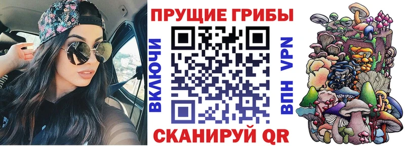 Галлюциногенные грибы мицелий  Долинск 